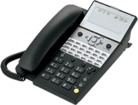 IP-24N-ST101A/IP-24-ST101A(W)BVoiceCaster IP PHONE