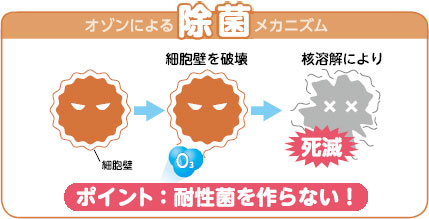 オゾン発生器による脱臭メカニズムのポイント：耐性菌を作らない！